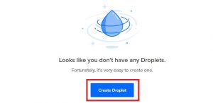 Create droplet